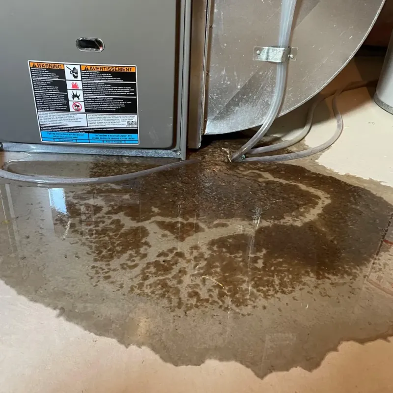 Appliance Leak Cleanup in Forest Oaks, NC